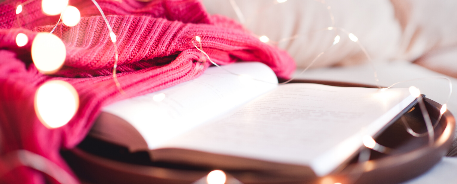Sex in literature, do we love it, hate it or not care?
