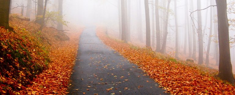 Unpopular Autumn Opinions