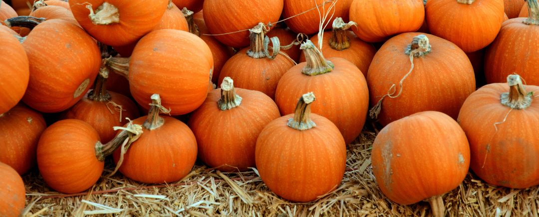 Pumpkins
