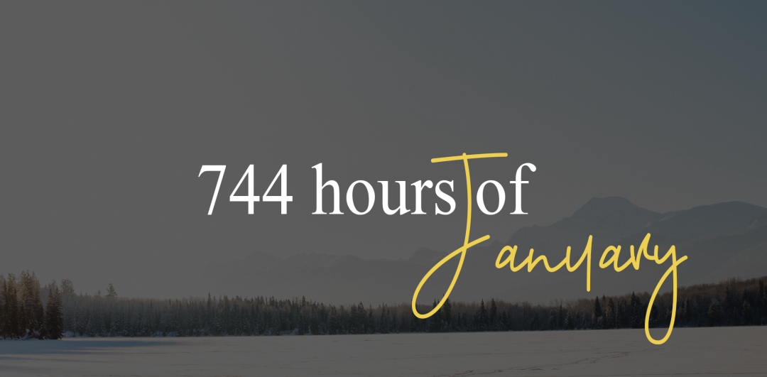 744 hours of January