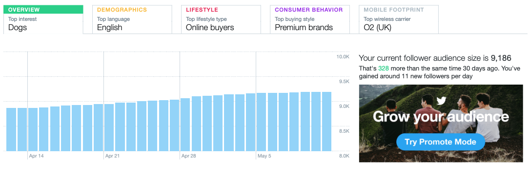 Audience analytics