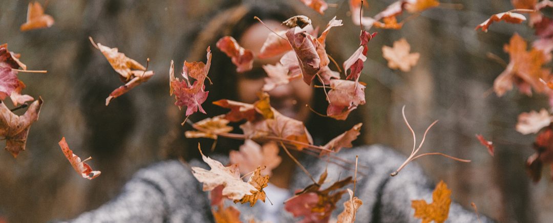 Reasons to look forward to autumn