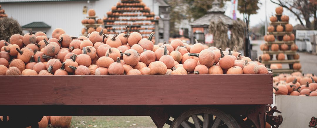 31 October blogging prompts and ideas, perfect for Blogtober