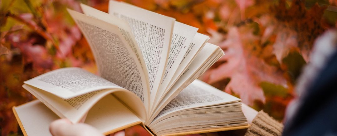 The perfect fantasy and thriller books to read in the autumn/fall