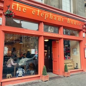 The Elephant House