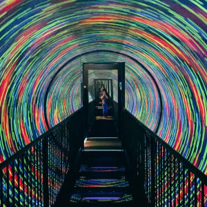 Camera Obscura