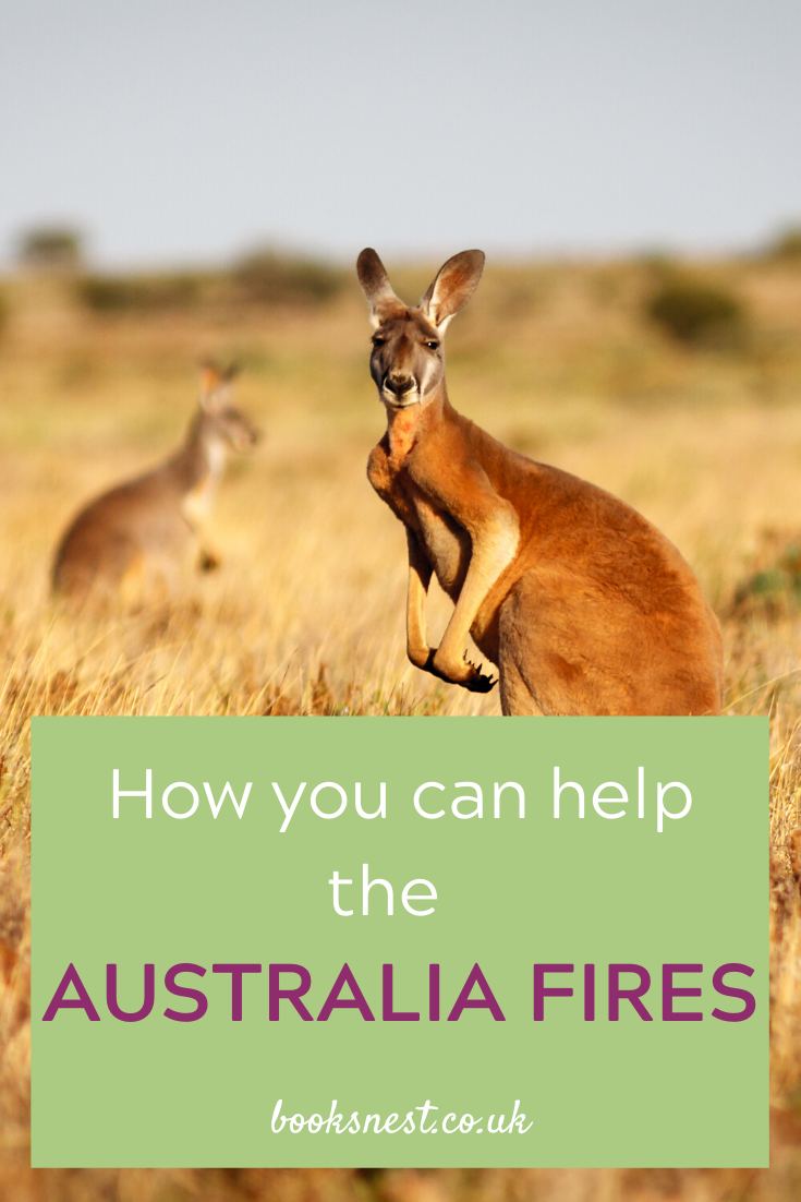How you can help the Australia fires