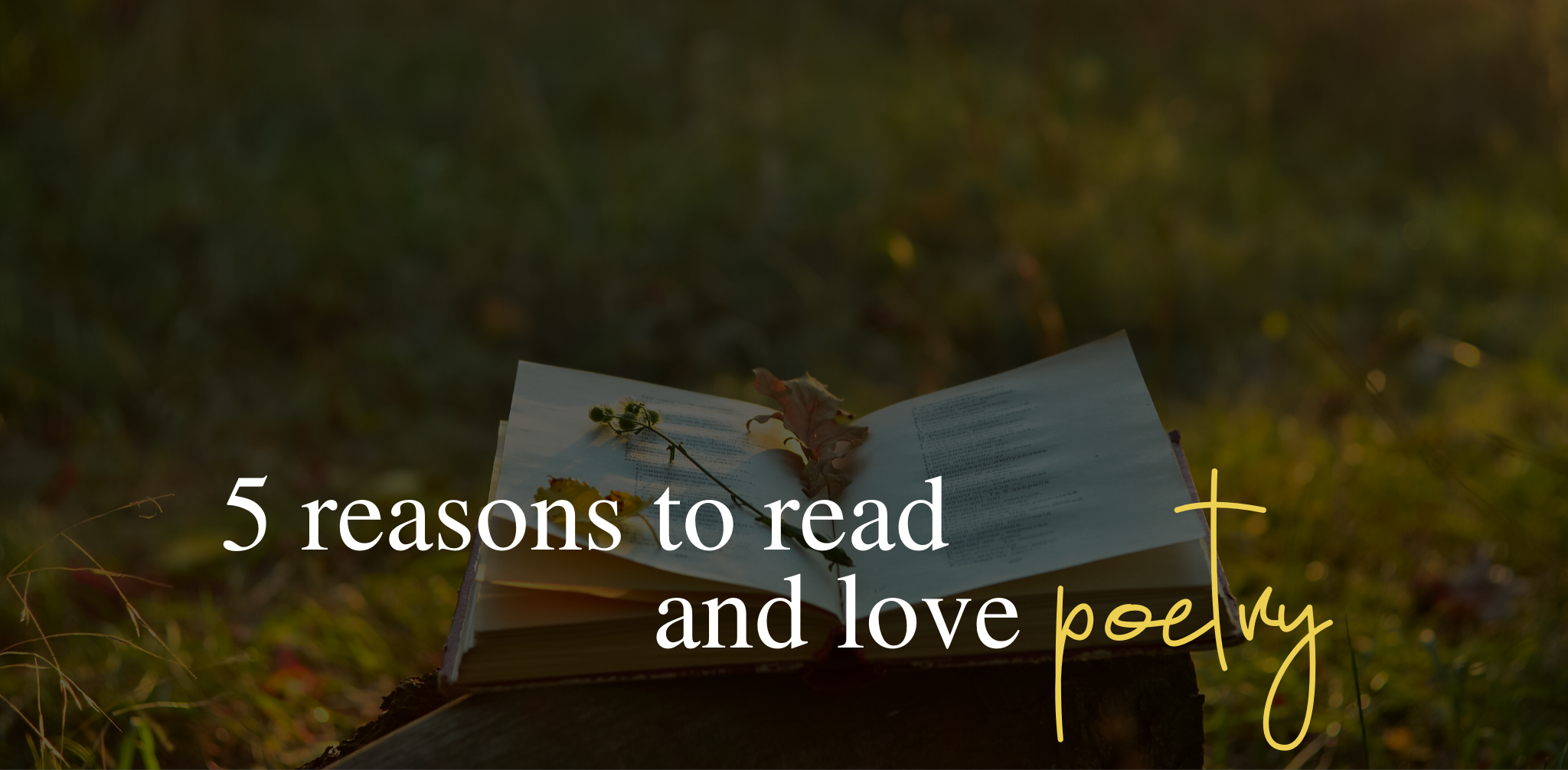 5 reasons I love poetry and why you should read it