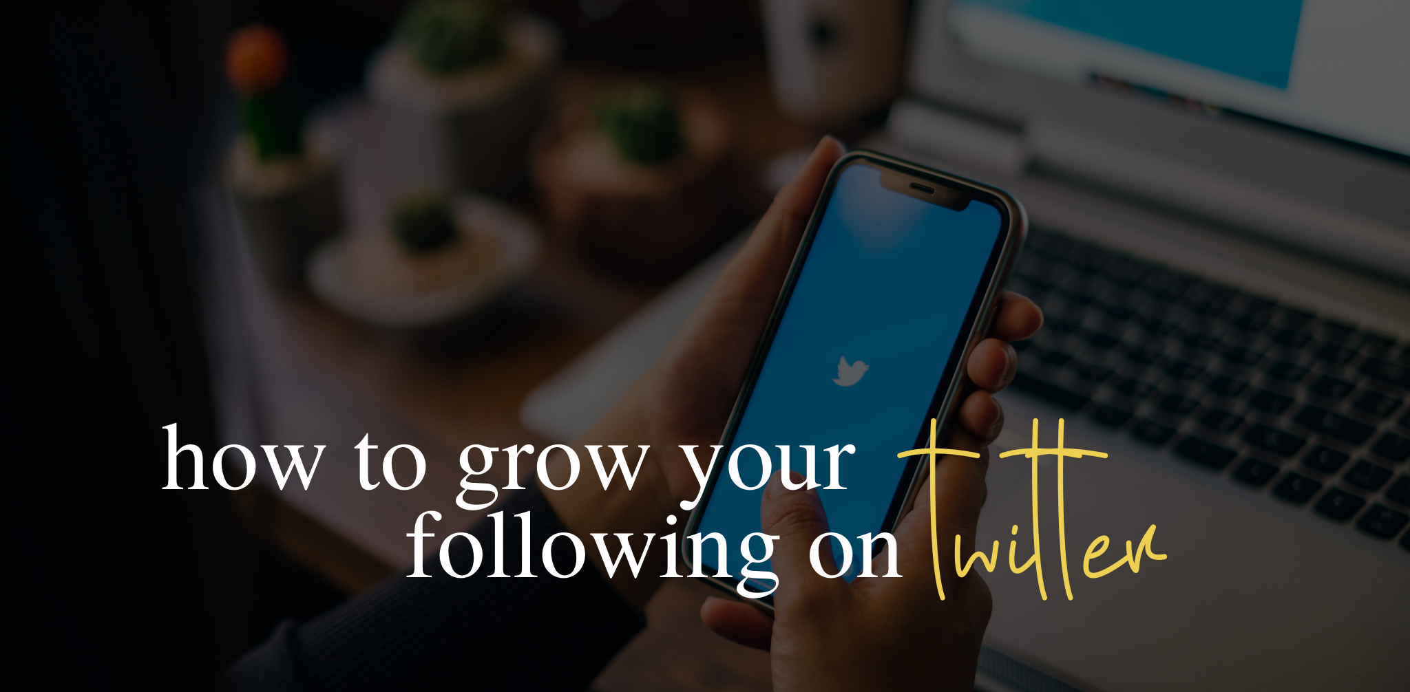 How to grow your Twitter following