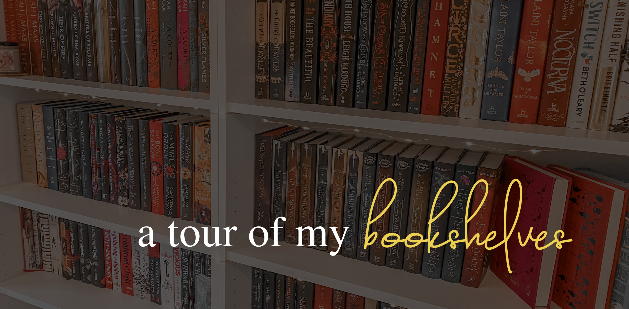 A virtual bookshelf tour for World Book Day