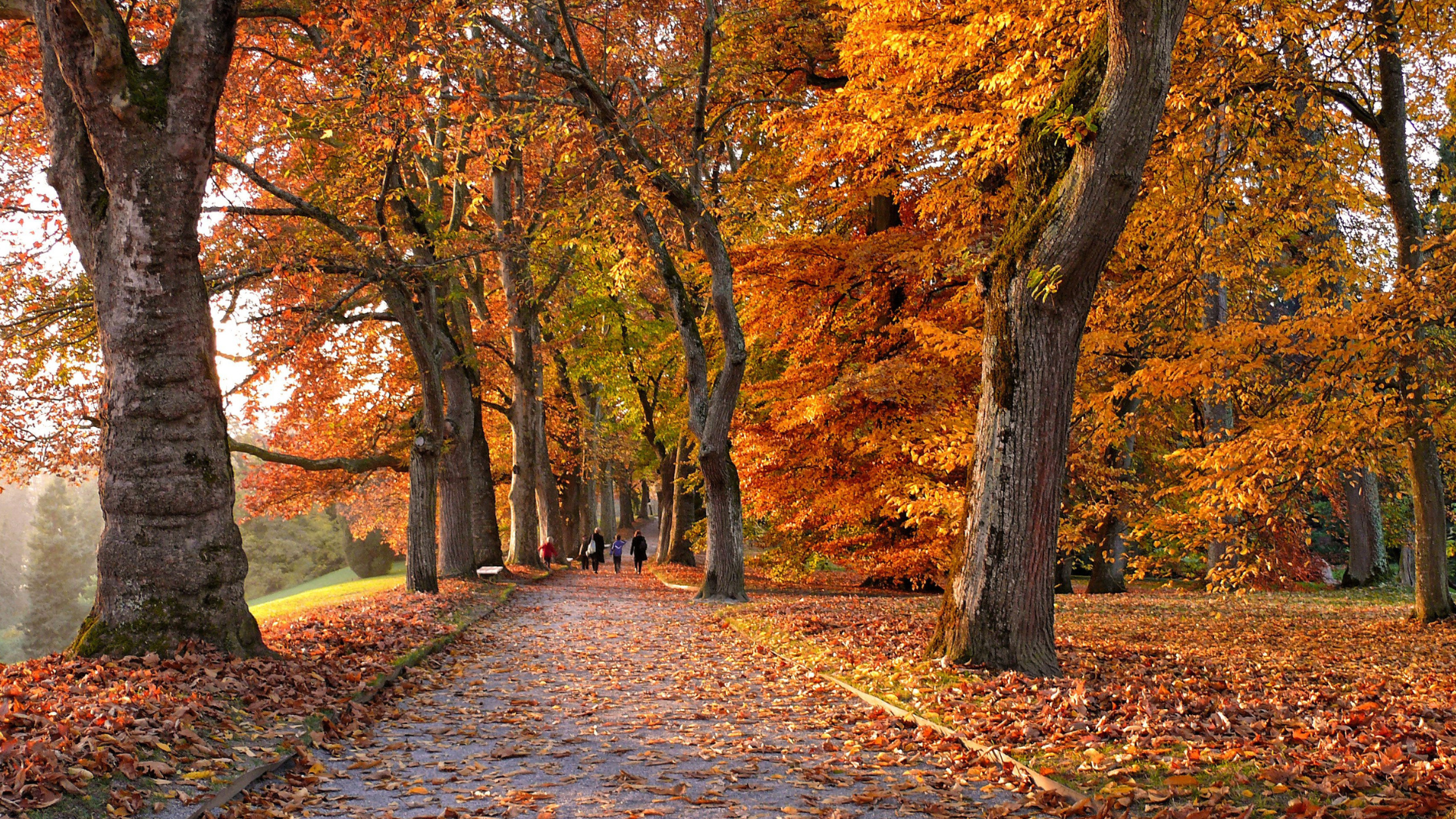 5 ways to get hyped for autumn