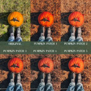 Lightroom Filters Previews