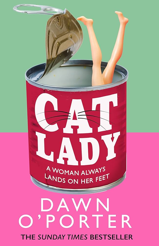 Cat Lady, Dawn O'Porter Book